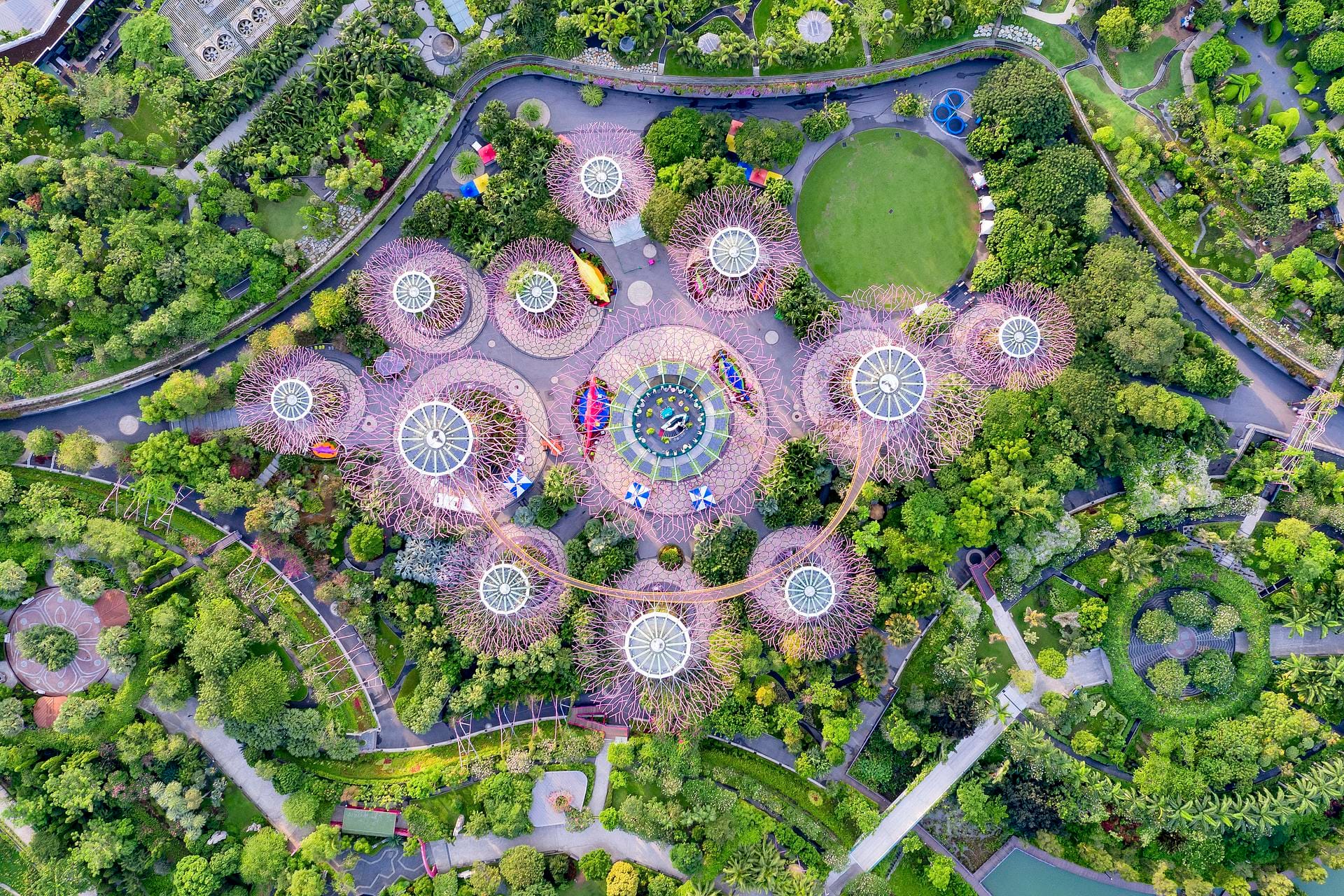 An aerial view showcases a botanical garden with numerous tree-like structures. These structures, with their circular canopies, are surrounded by lush greenery, pathways, and other garden features. A central area features a colourful display, and the overall composition is symmetrical.
